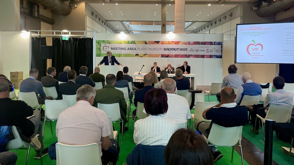 Macfrut 2026 plant nursery.jpg